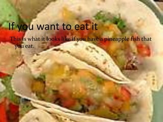 If you want to eat itThis is what it looks like if you have a pineapple fish that you eat.