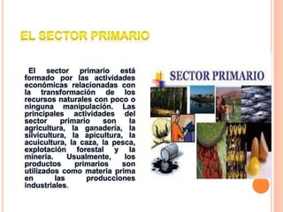 El sector primario está
formado por las actividades
económicas relacionadas con
la transformación de los
recursos naturales con poco o
ninguna manipulación. Las
principales actividades del
sector primario son la
agricultura, la ganadería, la
silvicultura, la apicultura, la
acuicultura, la caza, la pesca,
explotación forestal y la
minería. Usualmente, los
productos primarios son
utilizados como materia prima
en las producciones
industriales.
 