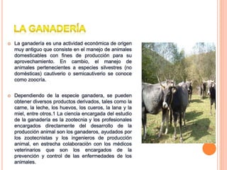  La ganadería es una actividad económica de origen
muy antiguo que consiste en el manejo de animales
domesticables con fines de producción para su
aprovechamiento. En cambio, el manejo de
animales pertenecientes a especies silvestres (no
domésticas) cautiverio o semicautiverio se conoce
como zoocría.
 Dependiendo de la especie ganadera, se pueden
obtener diversos productos derivados, tales como la
carne, la leche, los huevos, los cueros, la lana y la
miel, entre otros.1 La ciencia encargada del estudio
de la ganadería es la zootecnia y los profesionales
encargados directamente del desarrollo de la
producción animal son los ganaderos, ayudados por
los zootecnistas y los ingenieros de producción
animal, en estrecha colaboración con los médicos
veterinarios que son los encargados de la
prevención y control de las enfermedades de los
animales.
 