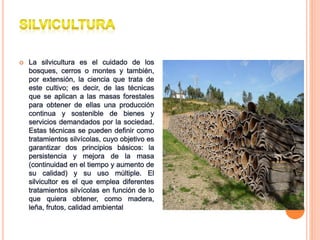  La silvicultura es el cuidado de los
bosques, cerros o montes y también,
por extensión, la ciencia que trata de
este cultivo; es decir, de las técnicas
que se aplican a las masas forestales
para obtener de ellas una producción
continua y sostenible de bienes y
servicios demandados por la sociedad.
Estas técnicas se pueden definir como
tratamientos silvícolas, cuyo objetivo es
garantizar dos principios básicos: la
persistencia y mejora de la masa
(continuidad en el tiempo y aumento de
su calidad) y su uso múltiple. El
silvicultor es el que emplea diferentes
tratamientos silvícolas en función de lo
que quiera obtener, como madera,
leña, frutos, calidad ambiental
 