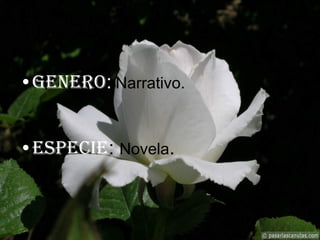 Genero :   Narrativo. Especie :  Novela . 