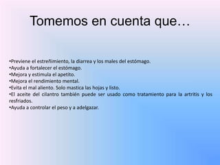 Tomemos en cuenta que…
•Previene el estreñimiento, la diarrea y los males del estómago.
•Ayuda a fortalecer el estómago.
•Mejora y estimula el apetito.
•Mejora el rendimiento mental.
•Evita el mal aliento. Solo mastica las hojas y listo.
•El aceite del cilantro también puede ser usado como tratamiento para la artritis y los
resfriados.
•Ayuda a controlar el peso y a adelgazar.
 