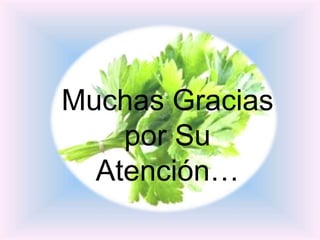 Muchas Gracias
por Su
Atención…
 
