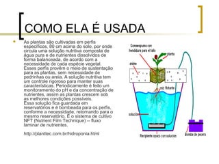 COMO ELA É USADA
   As plantas são cultivadas em perfis
    específicos, 80 cm acima do solo, por onde
    circula uma solução nutritiva composta de
    água pura e de nutrientes dissolvidos de
    forma balanceada, de acordo com a
    necessidade de cada espécie vegetal.
    Esses perfis provêm o meio de sustentação
    para as plantas, sem necessidade de
    pedrinhas ou areia. A solução nutritiva tem
    um controle rigoroso para manter suas
    características. Periodicamente é feito um
    monitoramento do pH e da concentração de
    nutrientes, assim as plantas crescem sob
    as melhores condições possíveis.
    Essa solução fica guardada em
    reservatórios e é bombeada para os perfis,
    conforme a necessidade, retornando para o
    mesmo reservatório. É o sistema de cultivo
    NFT (Nutrient Film Technique) -- fluxo
    laminar de nutrientes.
    http://planttec.com.br/hidroponia.html
 