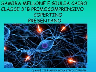 SAMIRA MELLONE E GIULIA CAIRO
CLASSE 3^B PRIMOCOMPRENSIVO
COPERTINO
PRESENTANO:
IL SISTEMA NERVOSO
CLASSE III B ANNO SCOLASTICO 2015/2016.
 