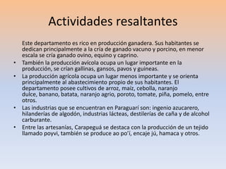 Actividades resaltantes 
Este departamento es rico en producción ganadera. Sus habitantes se 
dedican principalmente a la cría de ganado vacuno y porcino, en menor 
escala se cría ganado ovino, equino y caprino. 
• También la producción avícola ocupa un lugar importante en la 
producción, se crían gallinas, gansos, pavos y guineas. 
• La producción agrícola ocupa un lugar menos importante y se orienta 
principalmente al abastecimiento propio de sus habitantes. El 
departamento posee cultivos de arroz, maíz, cebolla, naranjo 
dulce, banano, batata, naranjo agrio, poroto, tomate, piña, pomelo, entre 
otros. 
• Las industrias que se encuentran en Paraguarí son: ingenio azucarero, 
hilanderías de algodón, industrias lácteas, destilerías de caña y de alcohol 
carburante. 
• Entre las artesanías, Carapeguá se destaca con la producción de un tejido 
llamado poyvi, también se produce ao po’í, encaje jú, hamaca y otros. 
 