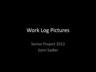 Work Log Pictures

 Senior Project 2012
    Sami Sadler
 