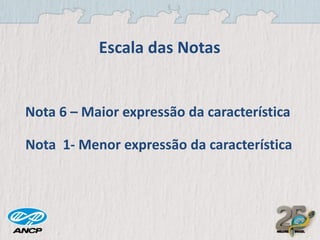 Escala das Notas

Nota 6 – Maior expressão da característica
Nota 1- Menor expressão da característica

 