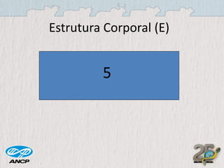 Estrutura Corporal (E)

5

 