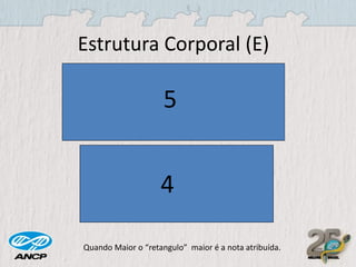 Estrutura Corporal (E)

5

4
Quando Maior o “retangulo” maior é a nota atribuída.

 