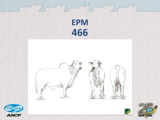 EPM

466

 