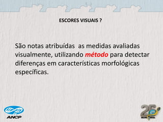ESCORES VISUAIS ?

São notas atribuídas as medidas avaliadas
visualmente, utilizando método para detectar
diferenças em características morfológicas
específicas.

 