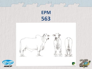 EPM

563

 