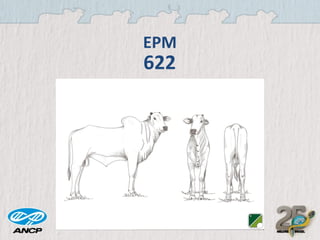 EPM

622

 