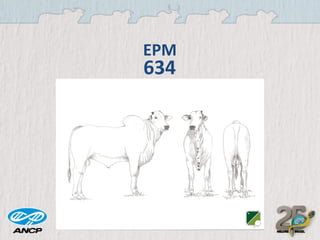 EPM

634

 