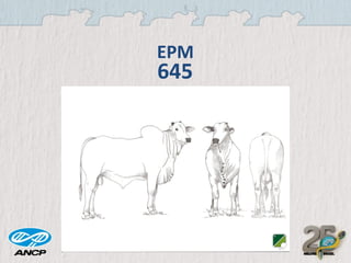 EPM

645

 