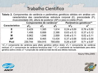 Trabalho Científico

Koury Filho,2005

 