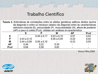 Trabalho Científico

Koury Filho,2005

 
