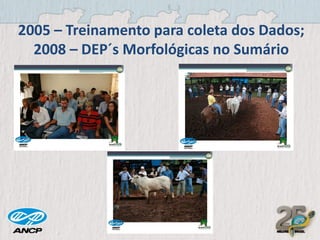 2005 – Treinamento para coleta dos Dados;
2008 – DEP´s Morfológicas no Sumário

 