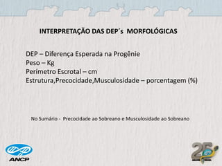 INTERPRETAÇÃO DAS DEP´s MORFOLÓGICAS

DEP – Diferença Esperada na Progênie
Peso – Kg
Perímetro Escrotal – cm
Estrutura,Precocidade,Musculosidade – porcentagem (%)

No Sumário - Precocidade ao Sobreano e Musculosidade ao Sobreano

 