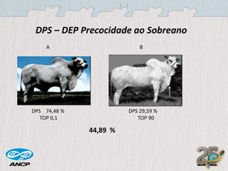 DPS – DEP Precocidade ao Sobreano
A

B

DPS 74,48 %
TOP 0,1

DPS 29,59 %
TOP 90

44,89 %

 