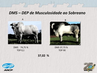 DMS – DEP de Musculosidade ao Sobreano
A

B

DMS 74,75 %
TOP 0,1

DMS 37,73 %
TOP 90

37,02 %

 