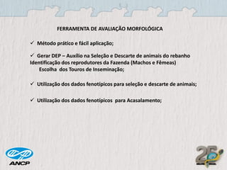 FERRAMENTA DE AVALIAÇÃO MORFOLÓGICA
 Método prático e fácil aplicação;
 Gerar DEP – Auxílio na Seleção e Descarte de animais do rebanho
Identificação dos reprodutores da Fazenda (Machos e Fêmeas)
Escolha dos Touros de Inseminação;
 Utilização dos dados fenotípicos para seleção e descarte de animais;
 Utilização dos dados fenotípicos para Acasalamento;

 