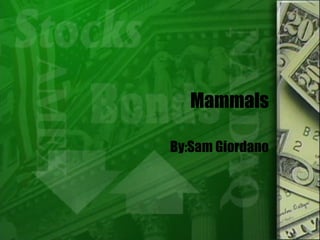 Mammals By:Sam Giordano 