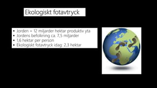 Ekologiskt fotavtryck
 Jorden = 12 miljarder hektar produktiv yta
 Jordens befolkning ca. 7,5 miljarder
 1,6 hektar per person
 Ekologiskt fotavtryck idag: 2,3 hektar
Jorden är klickbar!
 