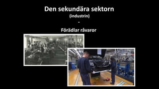 Den sekundära sektorn
(industrin)
-
Förädlar råvaror
 