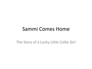 Sammi Comes Home The Story of a Lucky Little Collie Girl 