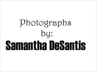 Photographs
      by:
Samantha DeSantis