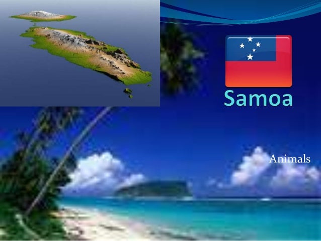 https://image.slidesharecdn.com/samoaanimalshomeworkbysacha-150529001942-lva1-app6892/95/samoa-animals-1-638.jpg?cb=1432858840