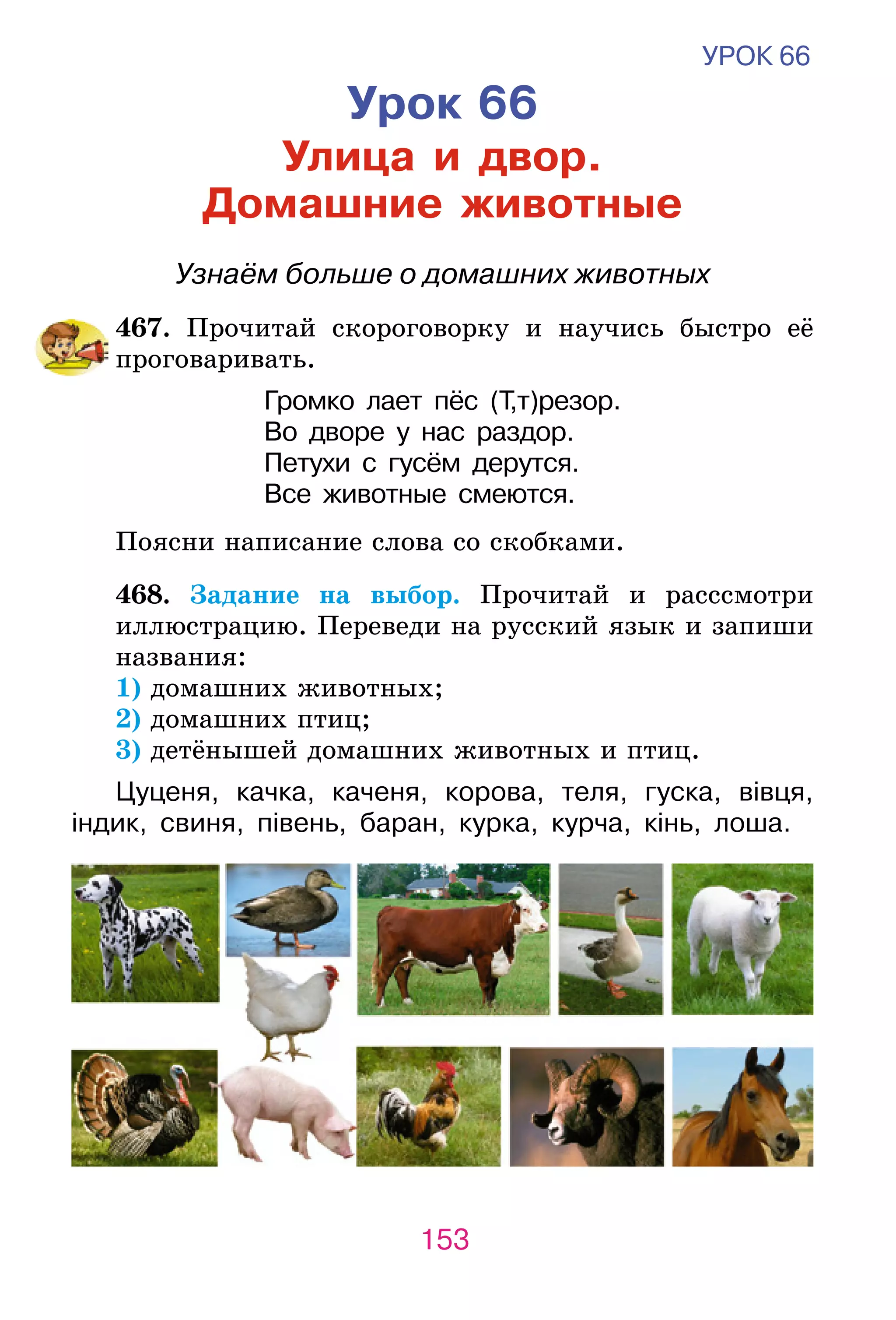 Slide 153