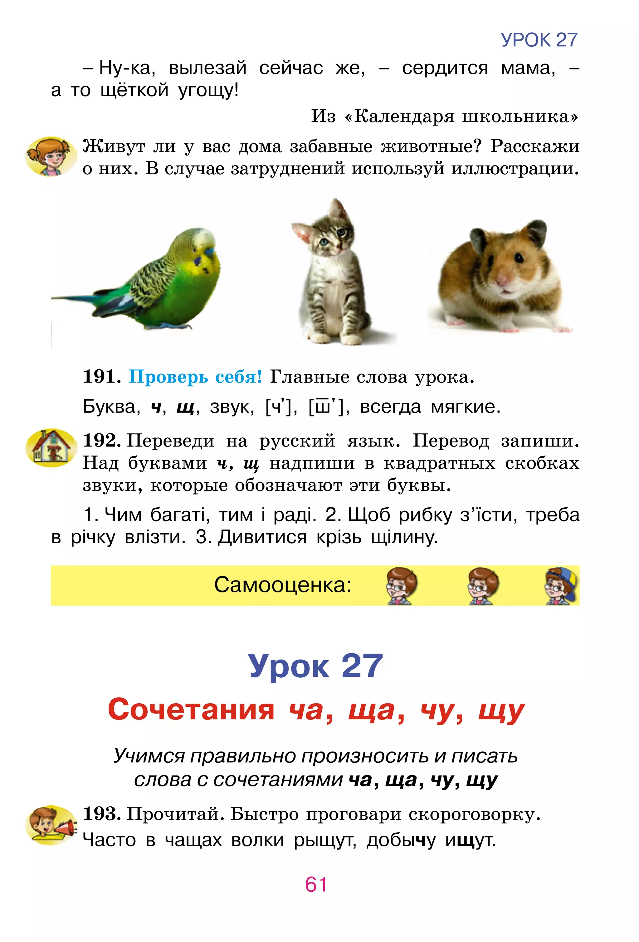 Slide 61