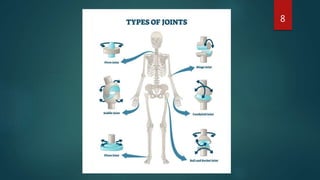 Mechanical Diagnosis and Therapy in Peripheral joint pathology ...