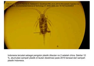 Cole  M,  Lindeque  P,  Fileman  E,  Halsband  C,  Goodhead  RM,  et  al.  (2013)  Microplastic  ingestion  by  
zooplankton.  Environmental  Science  &  Technology  47:  6646–6655.  doi:  10.1021/es400663f  
Indonesia  tercatat  sebagai  pengotor  plastik  dilautan  no  2  setelah  china.  Sekitar  12  
%,  akumulasi  sampah  plastik  di  lautan  diestimasi  pada  2010  berasal  dari  sampah  
plastik  Indonesia.
 
