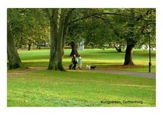 Kungparken,  Gothenburg
 