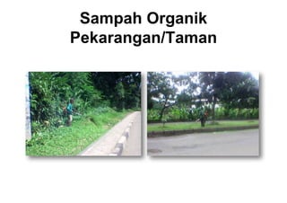 Sampah  Organik  
Pekarangan/Taman
 