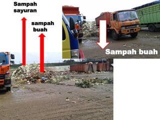 Sampah
sayuran
sampah
buah
Sampah buah
 