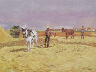 Samper_ Alcázar y_sus_alrededores