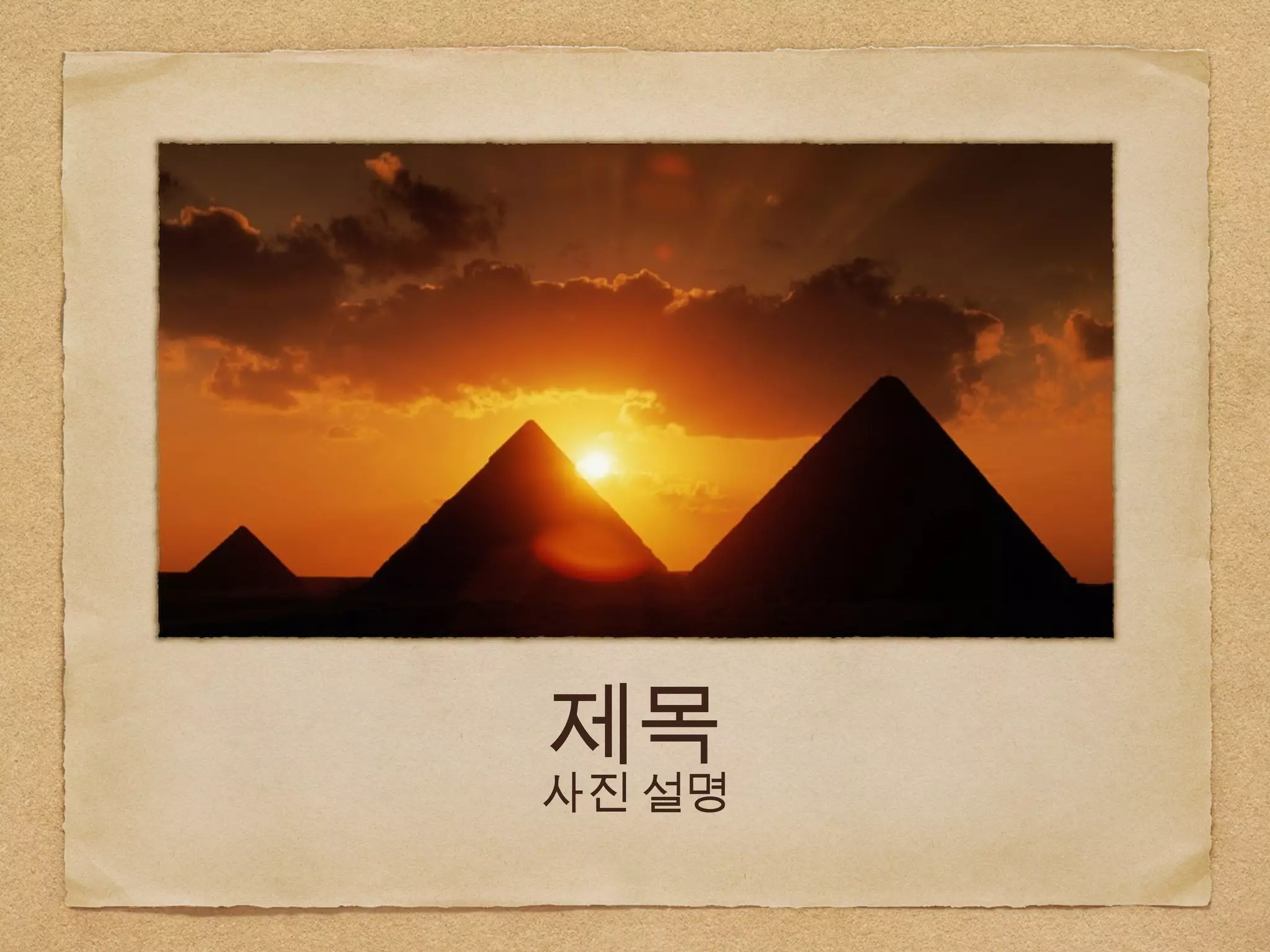 제목
사진 설명
 