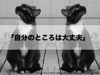 アジャイルカルチャーが組織に根付くまでの挑戦