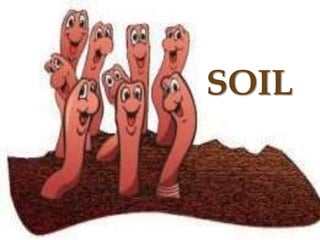 SOIL
 