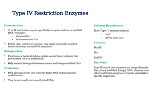 Comprehensive Overview of Bacterial Restriction and Modification ...
