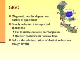 GIGO Diagnostic results depend on  quality of specimens Poorly collected / transported  specimens Fail to isolate causative microorganism Recover contaminants / normal flora Before the administration of Antimicrobials (or trough levels) 
