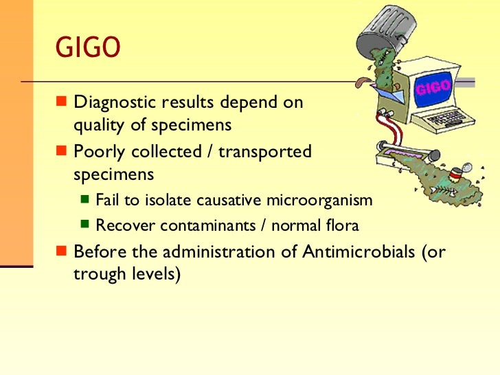 Sample Collection In Microbiology