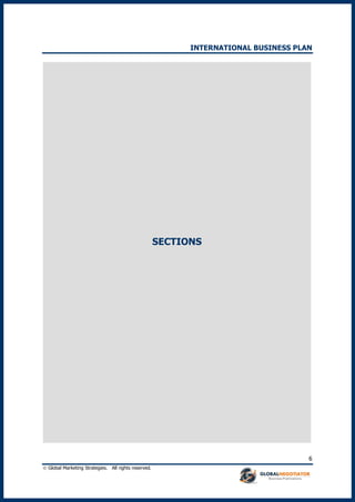 INTERNATIONAL BUSINESS PLAN
 Global Marketing Strategies. All rights reserved.
6
SECTIONS
 