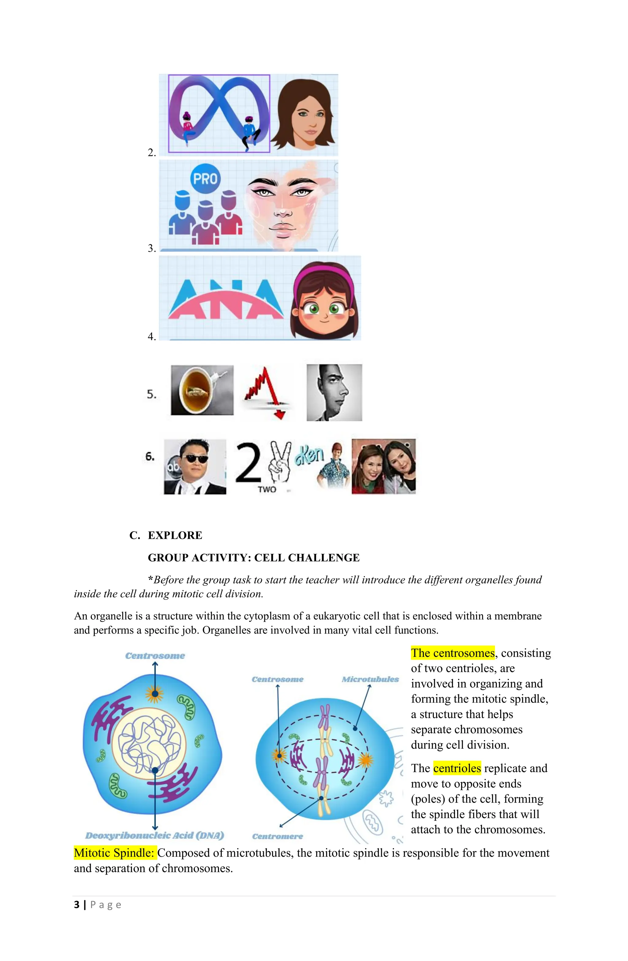 3 | P a g e
2.
3.
4.
C. EXPLORE
GROUP ACTIVITY: CELL CHALLENGE
*Before the group task to start the teacher will introduce the different organelles found
inside the cell during mitotic cell division.
An organelle is a structure within the cytoplasm of a eukaryotic cell that is enclosed within a membrane
and performs a specific job. Organelles are involved in many vital cell functions.
The centrosomes, consisting
of two centrioles, are
involved in organizing and
forming the mitotic spindle,
a structure that helps
separate chromosomes
during cell division.
The centrioles replicate and
move to opposite ends
(poles) of the cell, forming
the spindle fibers that will
attach to the chromosomes.
Mitotic Spindle: Composed of microtubules, the mitotic spindle is responsible for the movement
and separation of chromosomes.
 