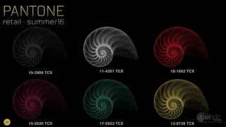 19-3909 TCX 11-4201 TCX 18-1662 TCX
19-2030 TCX 17-5923 TCX 13-0739 TCX
pantone
retail • summer16
pantone
retail • summer16
#5
 